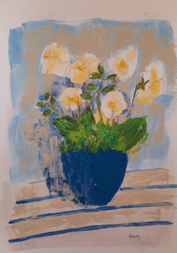 Still Life - Vanilla Haven