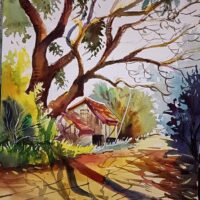 Sun-Dappled Path