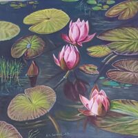 Lotus Serenade