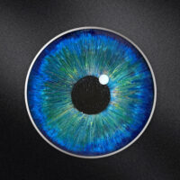 Bindu