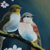 Early Morning Birds
