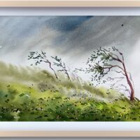 Rainy season