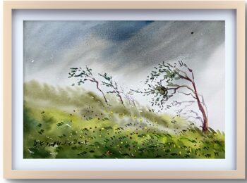 Rainy season