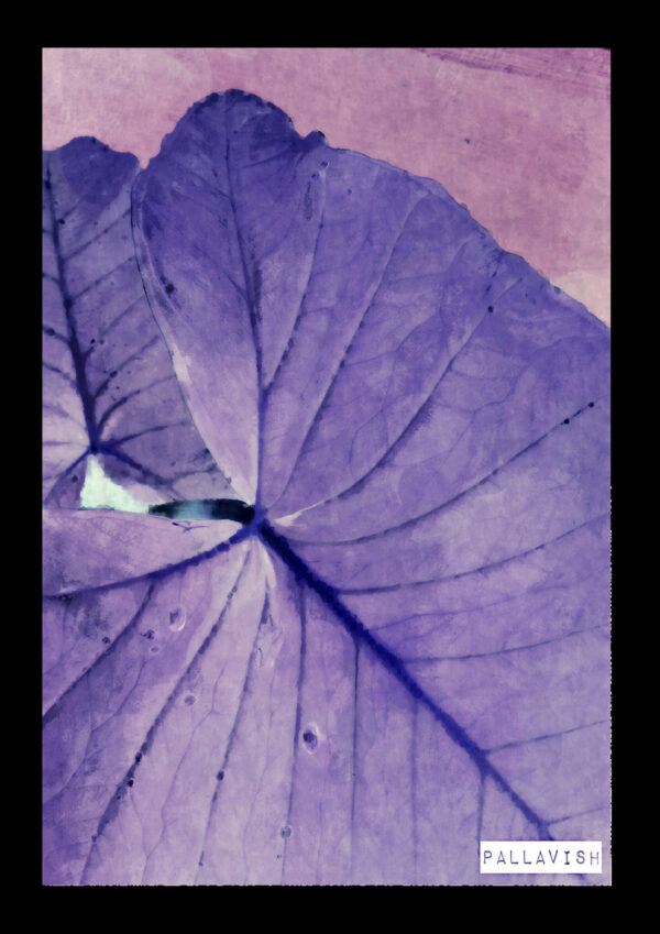 Nature's Bliss