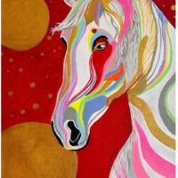 Stallion