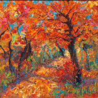 Enchanted Canopy