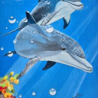 Dolphin