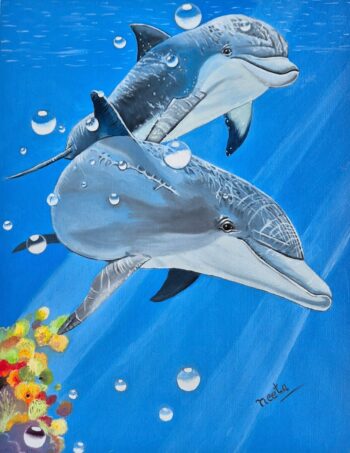 Dolphin
